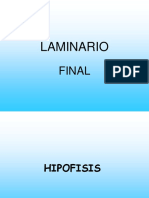 Laminario Morfo III Final