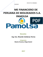 Informe Financiero - Pamolsa - Diego Macha