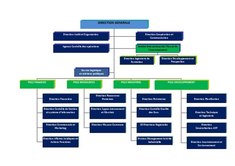 Organigramme de la Direction Générale | PDF | Économie | Business