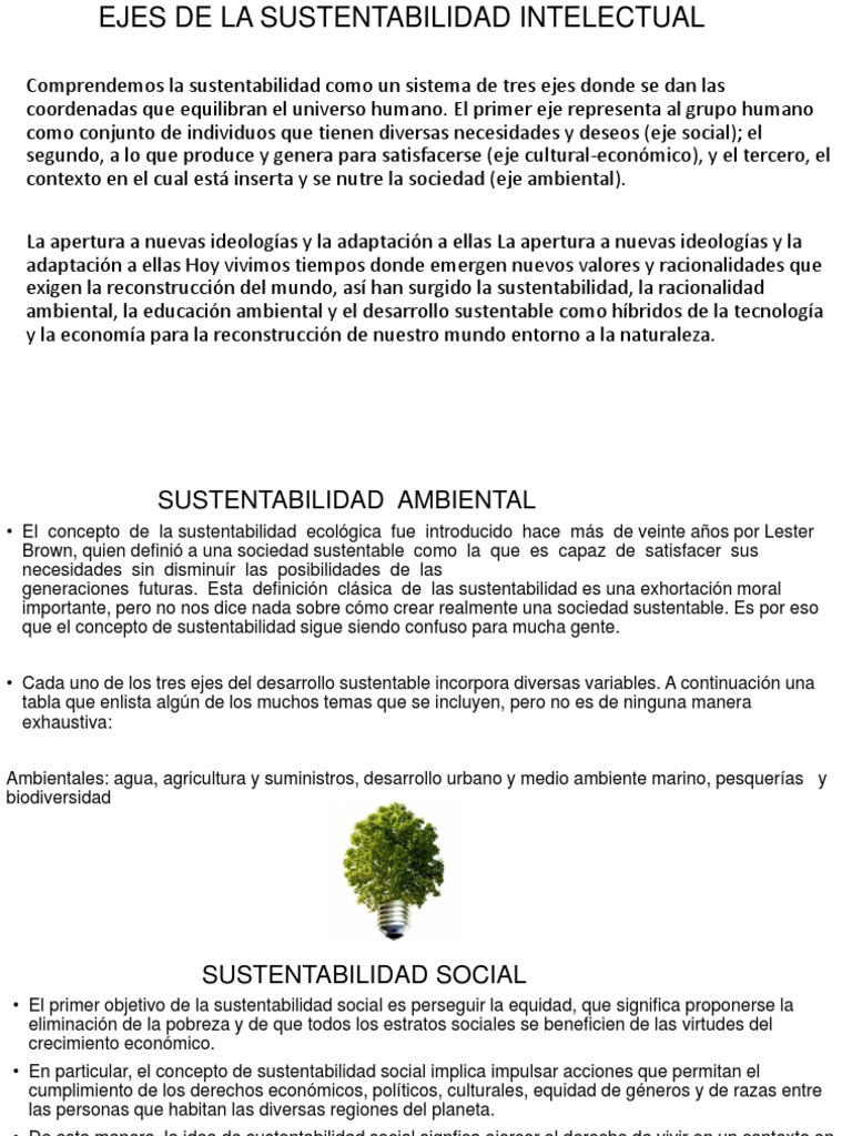 Ejes de La Sustentabilidad Intelectual Sustentabilidad