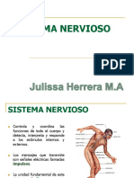 3.Sistema Nervioso