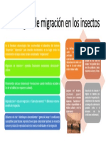 Estrategias de Migración en Los Insectos