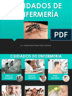 Prevencion Dengue