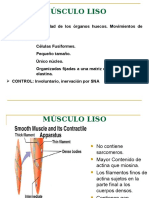 Lección 8 Fisiología Del Músculo Liso