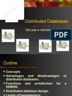 Distributed Databases: Not Just A Client/server System
