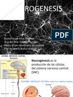 Neurogenesis 131106075711 Phpapp01