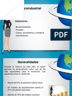 Sector Agroindustrial.pdf
