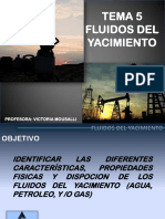 TEMA 6 FLUIDOS DE YACIMIENTO.pdf
