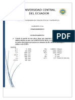 PUNZONAMIENTO accesss.docx