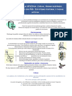 Seguridad en Puesto Con PVD Para PC2016