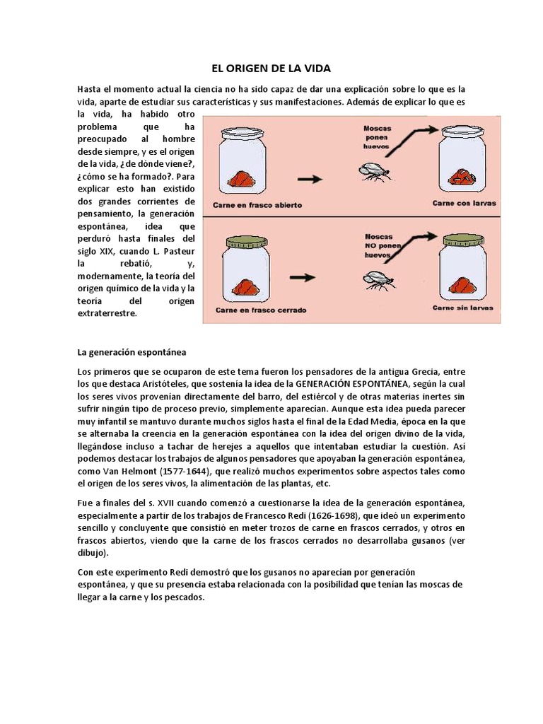 El Origen de La Vida | PDF | Organismos | Abiogénesis