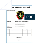 Proyecto Investigacion Pnp