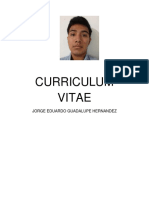 Curriculum Vitae - Jorge Eduardo Guadalupe Hernandez