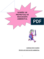 disenoProyectos_ambientales.pdf