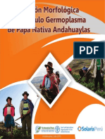 Descripcion Morfologica Del Tuberculo Germoplasma de Papa Nativa Andahuayla PDF