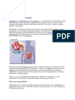 Appendicitis Inflammation Appendix: Appendectomy: What To Expect