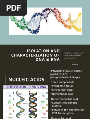 DNA Postlab