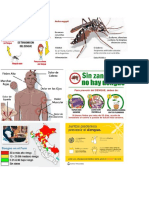 el dengue