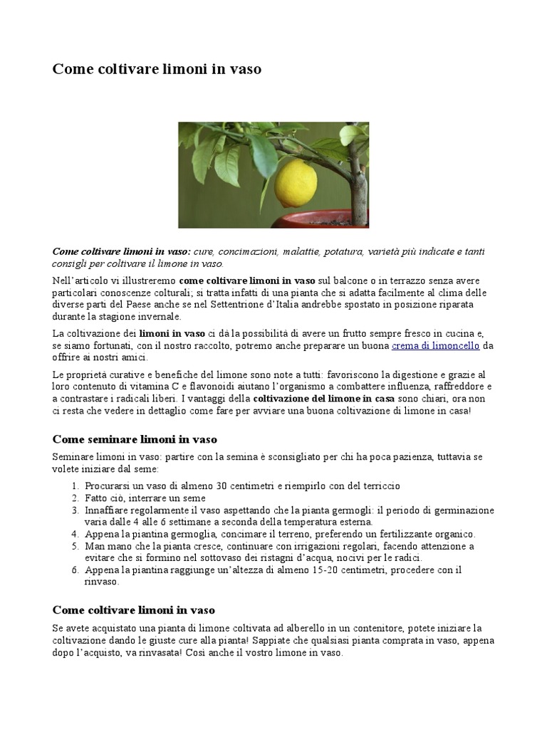 Come Coltivare Limoni in Vaso | Lemon | Plants