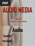 Audio (Types of Audio Media)