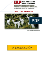 Neonatología en Alpacas