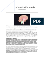 Sistema activador reticular