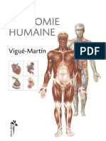 Anatomie Humaine
