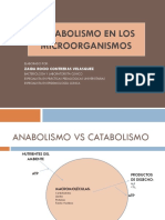 Metabolismo en Los Microorganismos