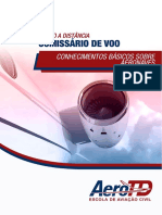 Conhecimentos básicos sobre aeronaves e seus principais componentes