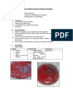 Crecimiento Bacteriano e Identificación de Colonias Bacterianas