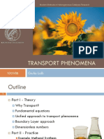 Lolli_Transport_Phenomena_311008.pdf