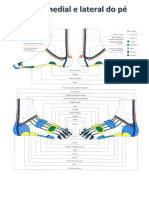 MAPA Medial Lateral Pé CORES