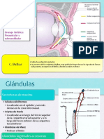 Conjuntivitis-1