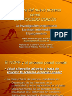 MPR - Estructura NPP - Proceso Común