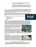 Reef Tank Water Motion: How To Design Good Water Movement: Drs. Foster & Smith Educational Staff