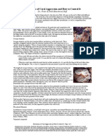 Mechanisms of Coral Aggression and How To Control It