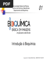 01 Introdução a Bioquimica PDF.pdf