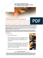 New Arrival Acclimation Guide: Creating Ideal Conditions For New Aquarium Arrivals