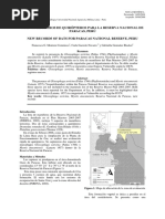 QUIROPTEROS PARACAS.pdf