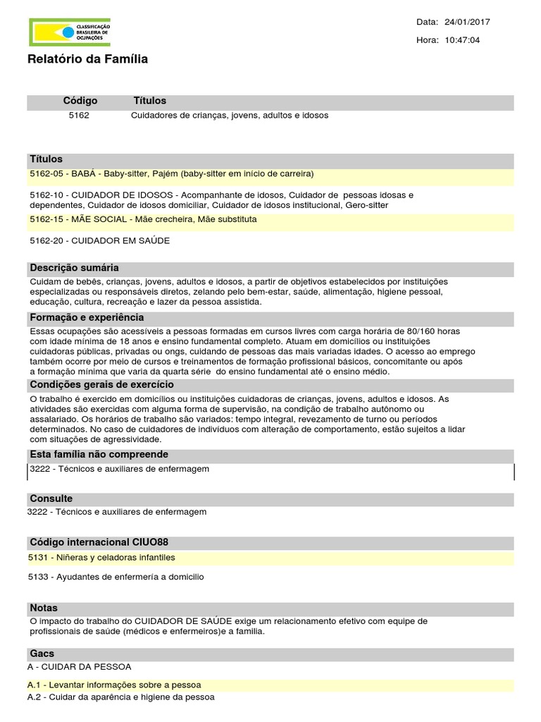 Modelo de Relatório para Cuidadores | PDF | Enfermagem | Família