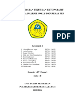 Makalah Jurnal Kutu Dan Pinjal