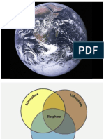 Servicios y Capacidad de Carga Ecosistémica