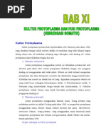 Download XiKultur Protoplasm A Dan Hibridisasi Somatik by Rino Bestianta ginting SN35226969 doc pdf