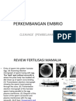 perkembangan-embrio