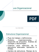 03a Estructura_Organizacional