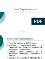03a Estructura - Organizacional