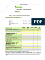 Wisc Iv Informe 2010