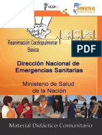 miniguia-rcp.pdf