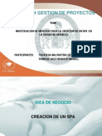 89518202-Investigacion-de-Mercado-Spa.pdf