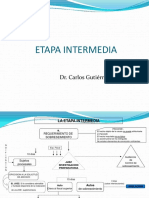 306_etapa_intermedia.pdf